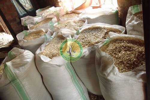 Maize products produced by the farmers that are empowered by Twegaite International